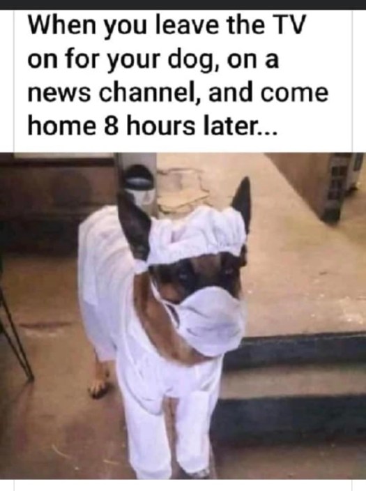 1B473003-FD8D-4A94-A0B5-718FBA3ED54B