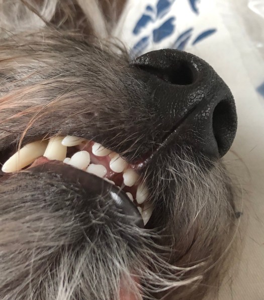 1C8A9513-E03D-4832-B766-43FE5472977F