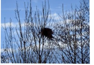 295EF873-44EC-46E1-86E0-68143B04FA29