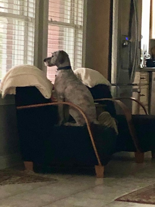 314BA0C3-FABD-442E-912C-DC6CBB992613