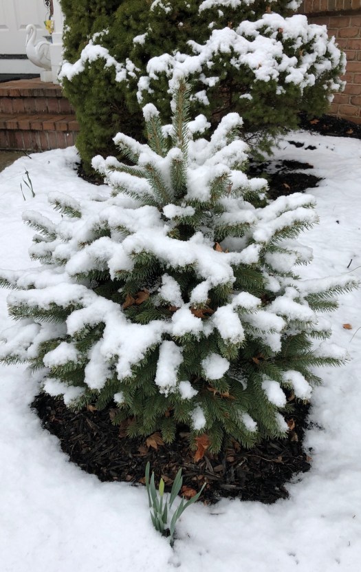 34E937F3-4CDB-457D-9D7A-C67D6A5A5920