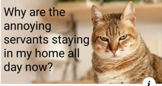 387DD4E1-8E0C-480F-945A-50BF2DF304A0