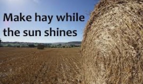 41229686-164D-46FA-84D8-7E07D591F8F2