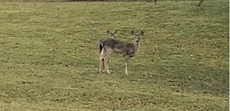 417FA6D9-8C3F-4D82-BF49-294FAA977360