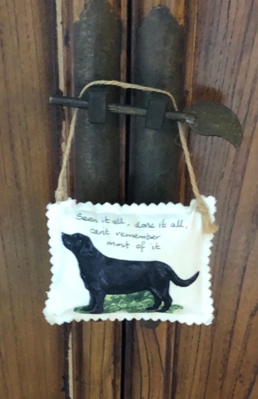 62BFA8DF-20A9-4244-B609-920AFC4C411E