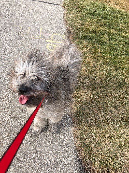 69B0C39E-D25B-4972-BFB9-1F7D48B3264D