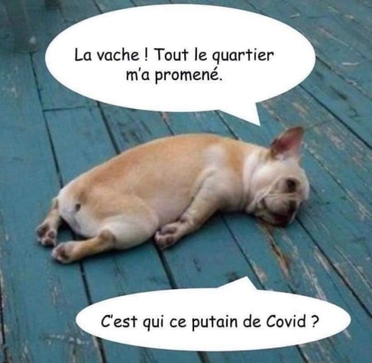 6BD5274D-E2B0-4251-8B88-E0826B920EE2