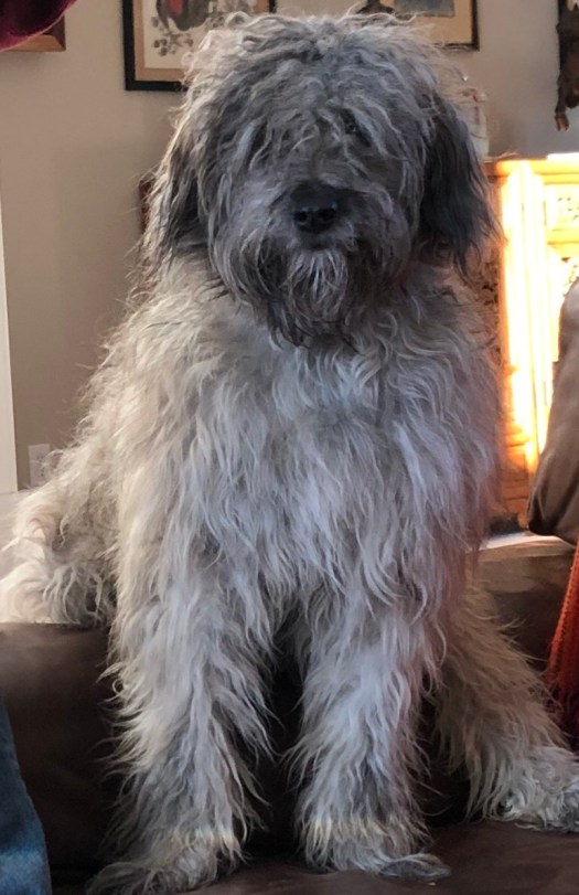 71778103-AAFE-4A8E-B55C-11DEC369467D