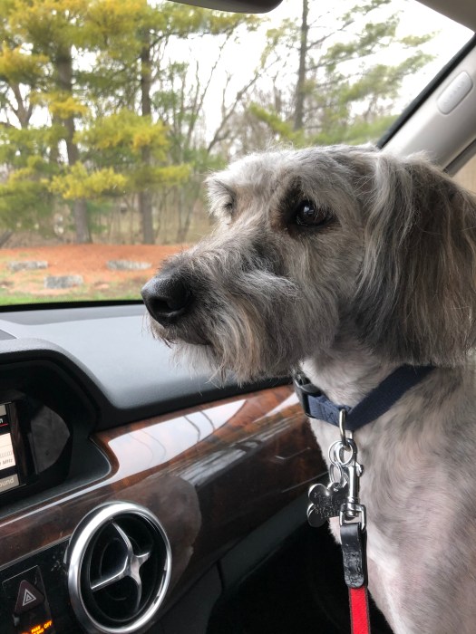 78F7EB68-60CF-4189-90EA-A2ADD85CBF79