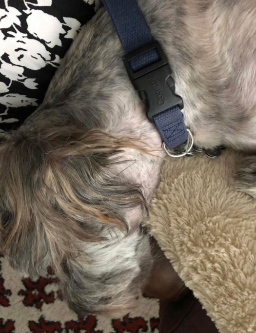 82785540-AC8C-4E69-8741-B5095ABFC125