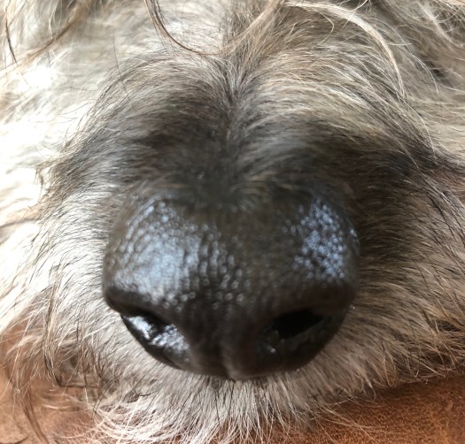 88B0C278-6B84-4AF1-9F58-B83B2BEA7C54