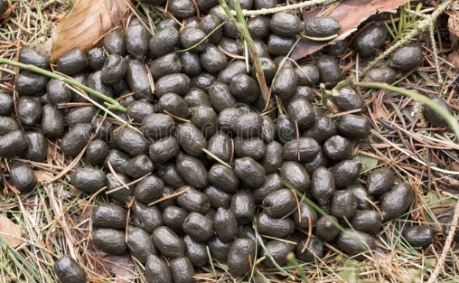 9609D6B1-1766-4F89-829A-930B7CB01CF5