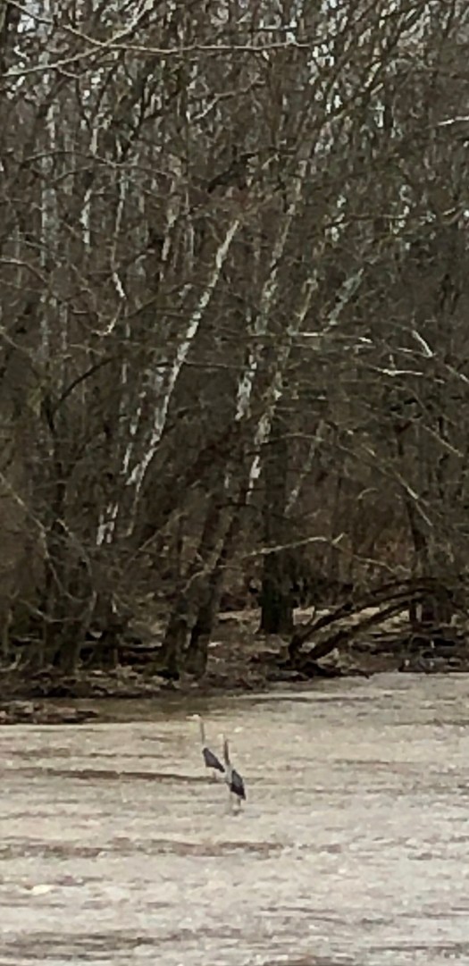 A4368BDB-3FF1-46C8-8981-873A1450C822