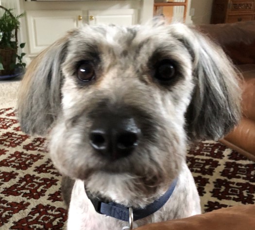 B48AEDF6-87CD-44E8-A8D7-96F787137AE8