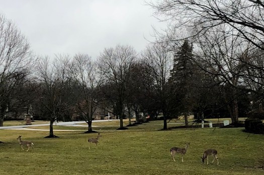 B92ED35D-209E-48F1-9258-AB16CBA2964E