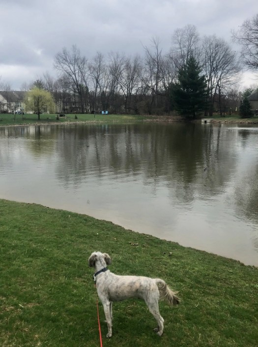 BDA5646E-574A-4578-8521-D78285AA927B