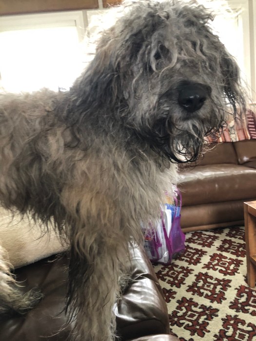 C43A0388-711B-4F0C-B6CC-BCC00E6E46C6