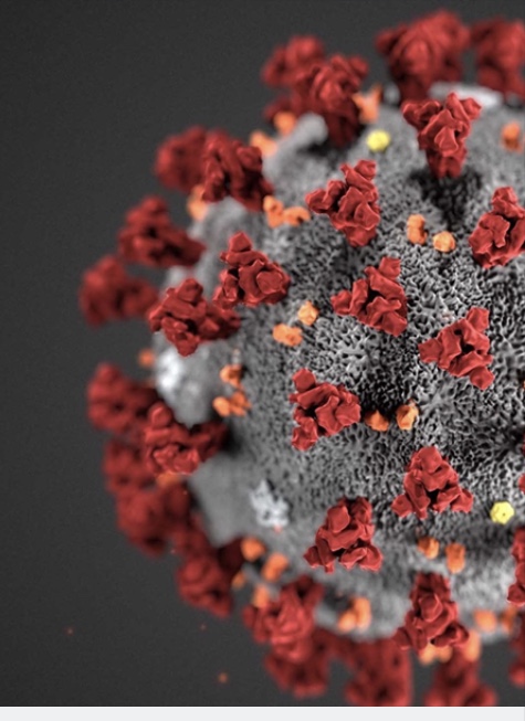 EB2ED56D-66F9-4106-B642-89553B21D7DE