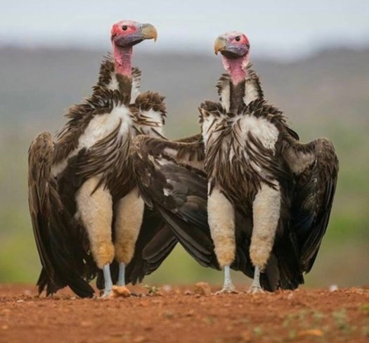 F579F2F9-CF42-4EB7-BBF1-B160388A76C7