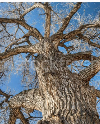 F6197131-3589-42CF-8880-FF1252D54A4D