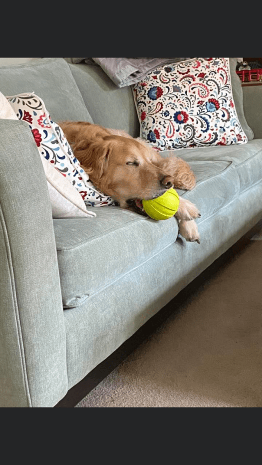 F6684664-381F-4432-A709-13E540C32B31