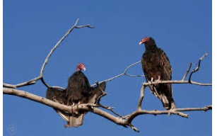 F8904CE7-ECDD-4660-973D-D1015F8E0533