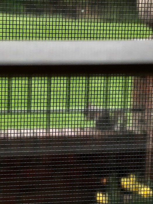 076ECD65-08CA-41BD-BBD2-2B17CB6EA6FE