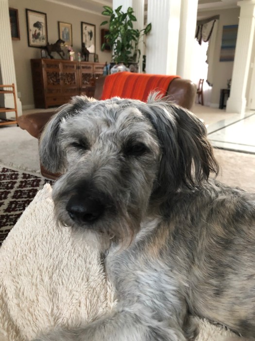 07F323B2-1722-4337-B6E4-682512CC9A51