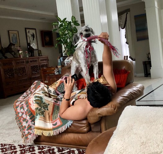 0DE6DB61-2847-4860-9EF1-3A659F4CE88A