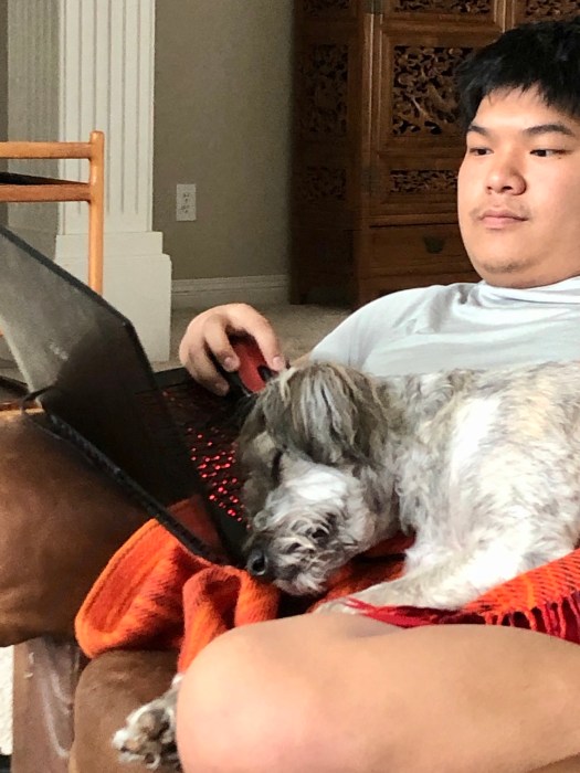 0E7D3E03-A4B4-4E12-8217-A23FB80038F0