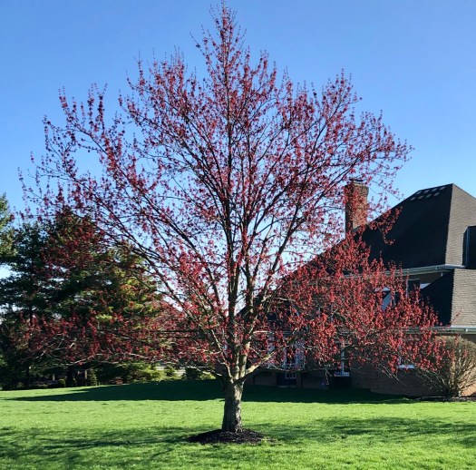 10701118-CD0E-4987-923C-72F49D3E99AA