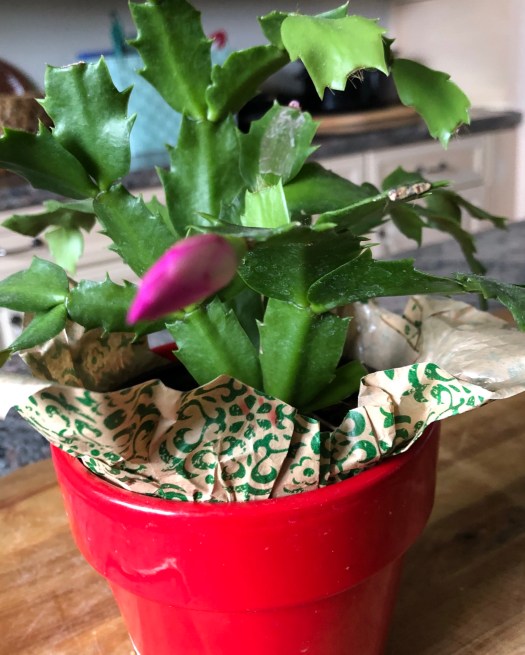 18E4B457-E233-432A-832B-F678F1966E77