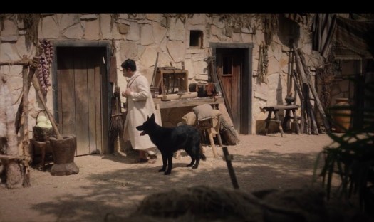 19E31981-569F-427F-90FD-104C87BD5D3B