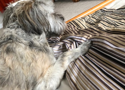 1C5CED3A-81B7-473E-AEE7-7CD82C07F765