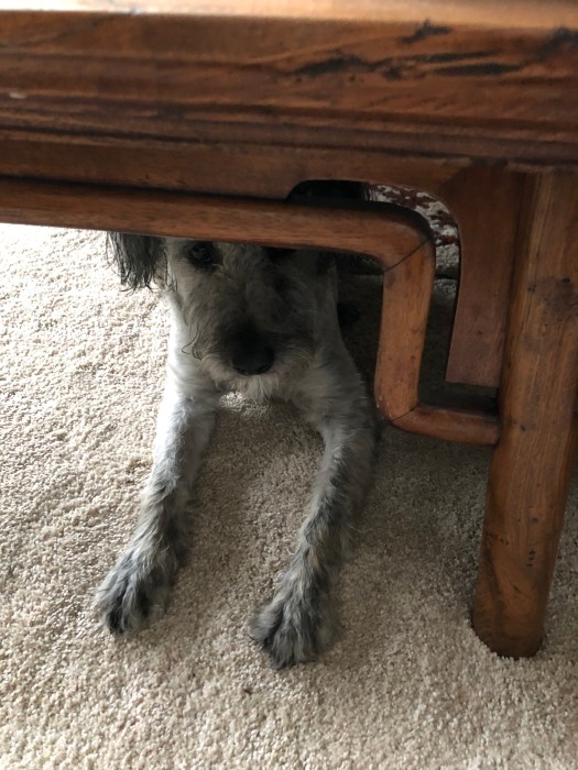 1E265ACA-5E79-4F48-BD83-7249115084D6