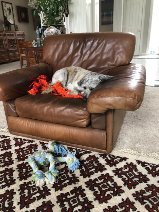 22F5F117-16DE-4A5D-B1DC-D7A8426461AB