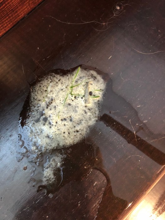 36B95178-FDBE-457E-9346-6BC6F339B634