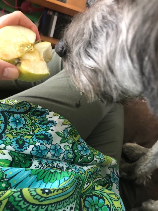 45FC122C-8099-45AA-939A-F9DB6254EF62