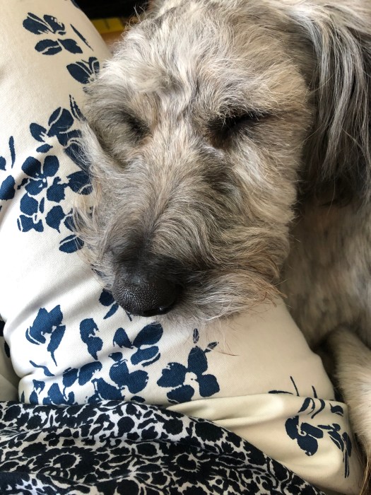 49C35434-C47F-471C-B3C6-2B341861DF45