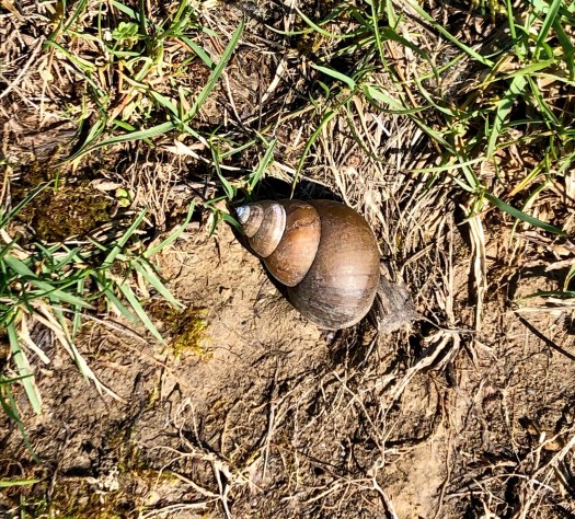 4A2A334D-89AE-4391-BA6D-319B169F6893