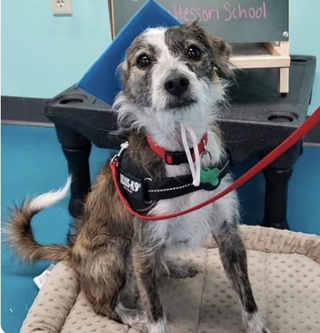 4E4F3543-436A-4621-8DE8-46887523A5F5