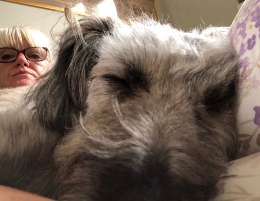 54DF2C92-8A4E-4B74-BDE3-15BD1753391F