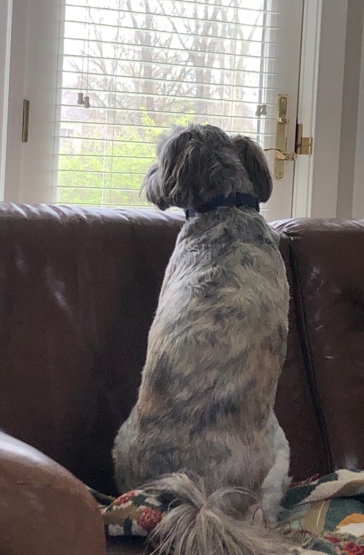 561B80DD-6139-4D2F-A5DD-18D8686FFA8B