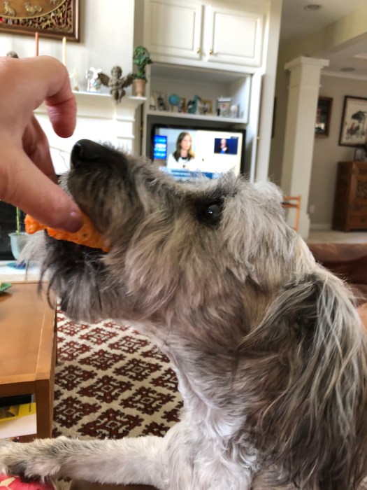 5ABC1BDF-9384-418B-9AC8-D225BEE08340