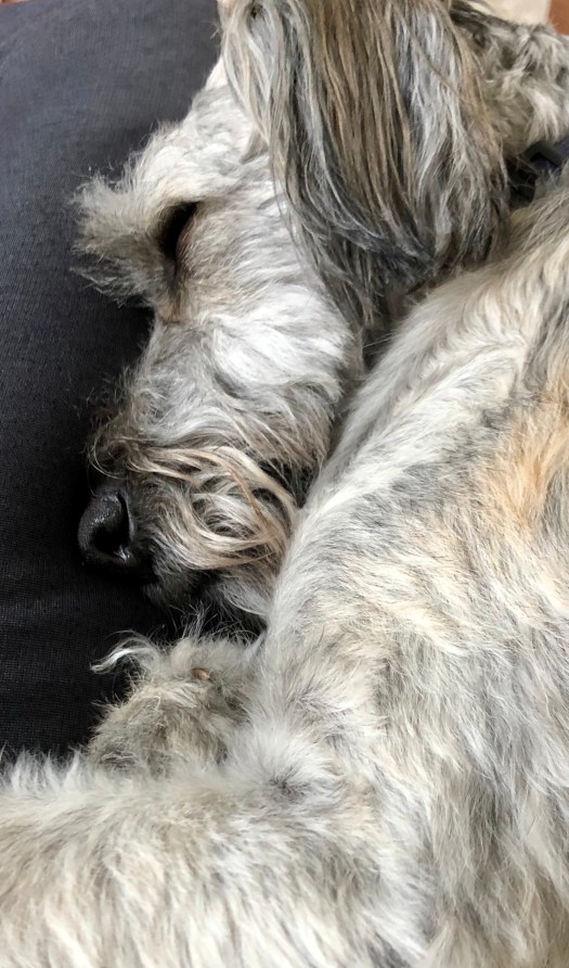 65DC0E97-39D3-4418-9A5E-5A3BBD775E18