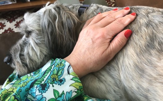 677F278F-1473-41D0-AFC3-E2592FE8522A