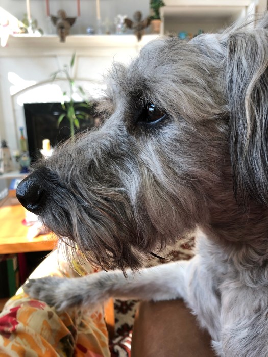 6A3DFF93-63E2-4AD0-92D9-FB8CB5DF0A09