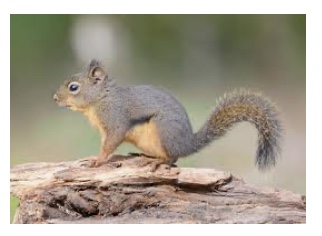 7489F3E7-C889-42D5-86C9-AD6E71271F70