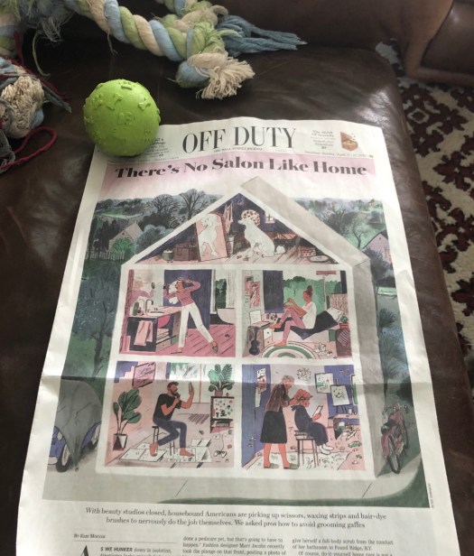 773CE401-0B1D-46A6-9B0C-48D89B05D65B