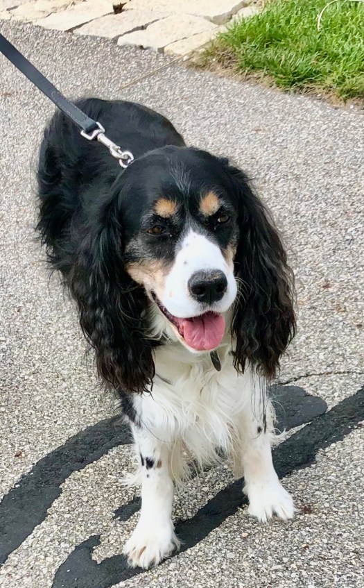 87DB6E34-4039-42E9-8B15-0E10B63FF479